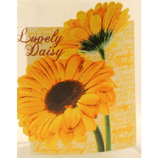 Úložná fľaša 400 ml - sedmokráska